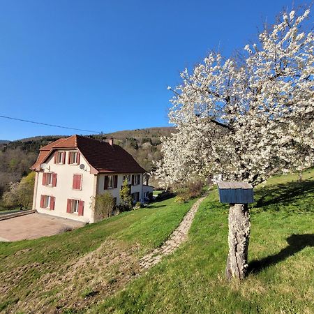 Domaine De La Charriere Sur 63 Ares - 8 Pers Grand Confort Villa Neuviller Eksteriør billede