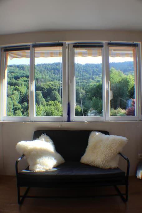 Domaine De La Charriere Sur 63 Ares - 8 Pers Grand Confort Villa Neuviller Eksteriør billede