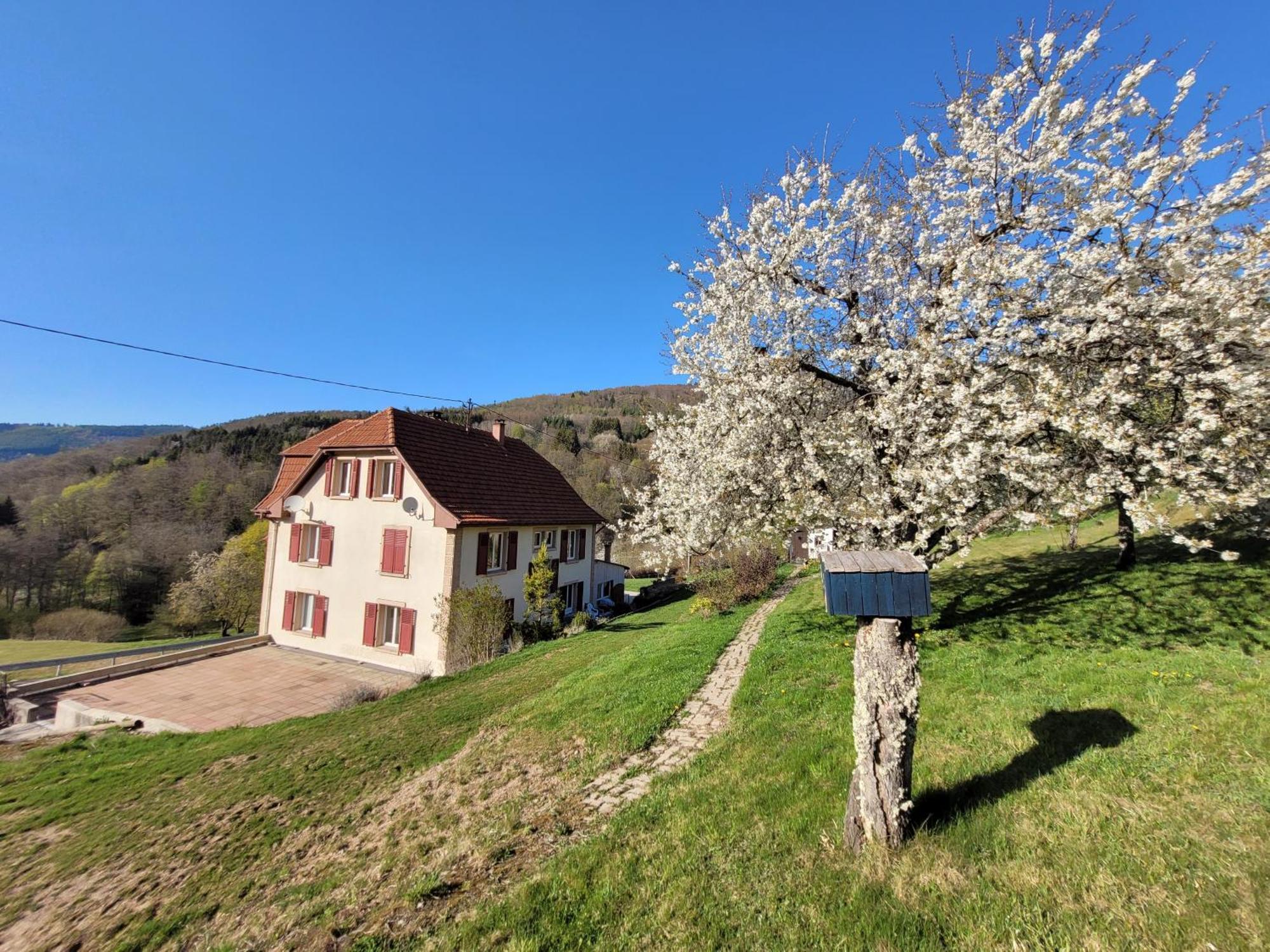 Domaine De La Charriere Sur 63 Ares - 8 Pers Grand Confort Villa Neuviller Eksteriør billede