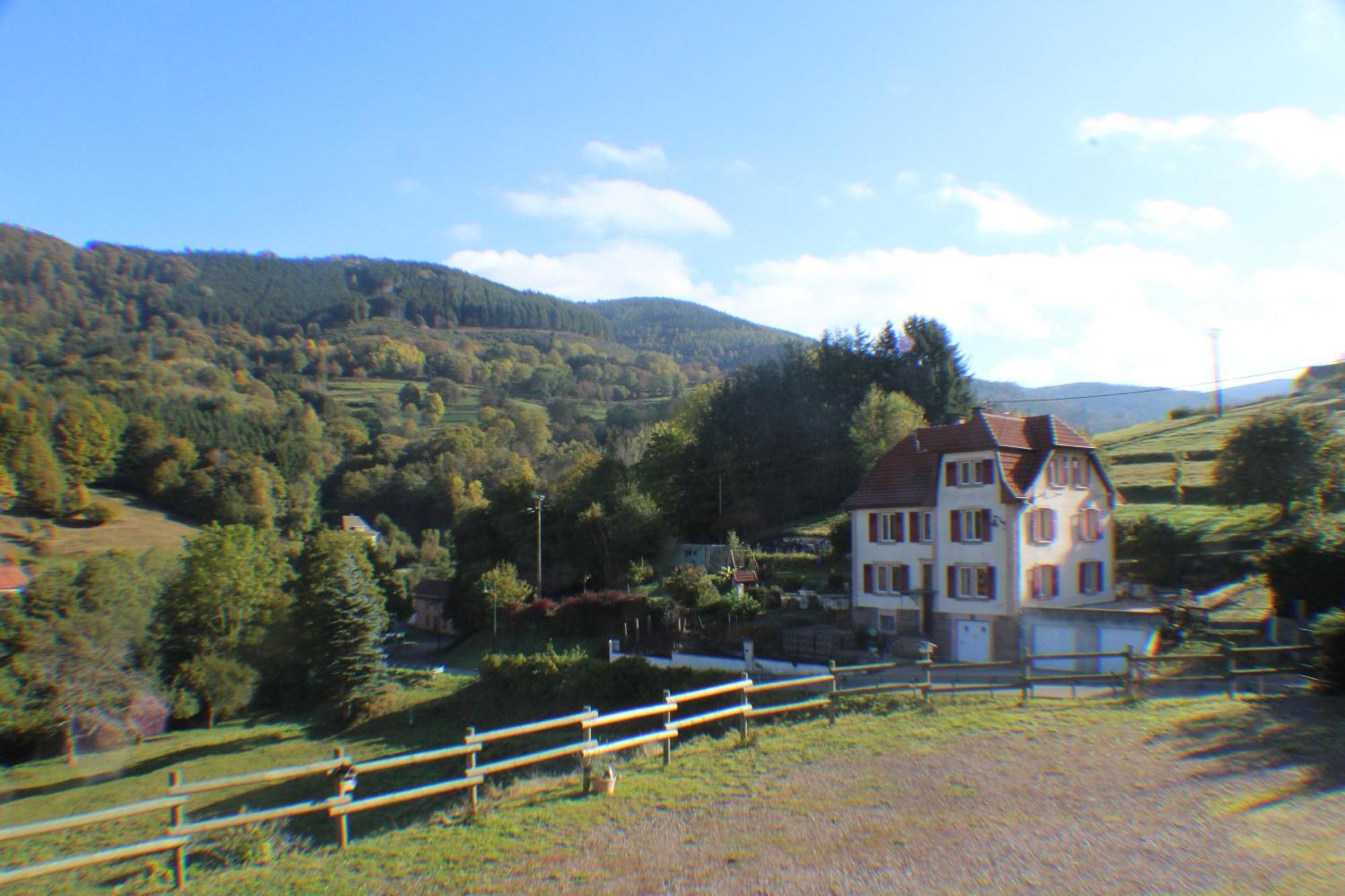 Domaine De La Charriere Sur 63 Ares - 8 Pers Grand Confort Villa Neuviller Eksteriør billede